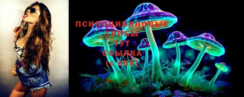 Псилоцибиновые грибы Magic Shrooms  Приволжск 